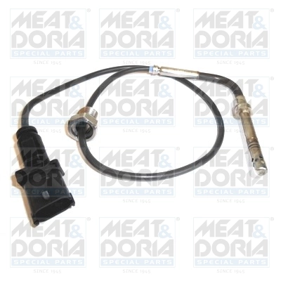 Sensor, exhaust gas temperature